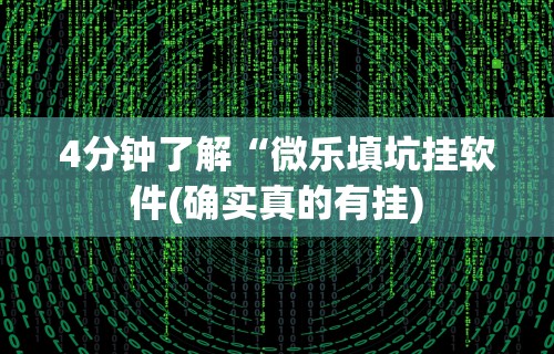 4分钟了解“微乐填坑挂软件(确实真的有挂)
