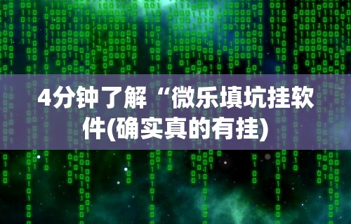 4分钟了解“微乐填坑挂软件(确实真的有挂)