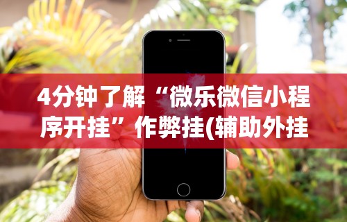 4分钟了解“微乐微信小程序开挂	”作弊挂(辅助外挂+