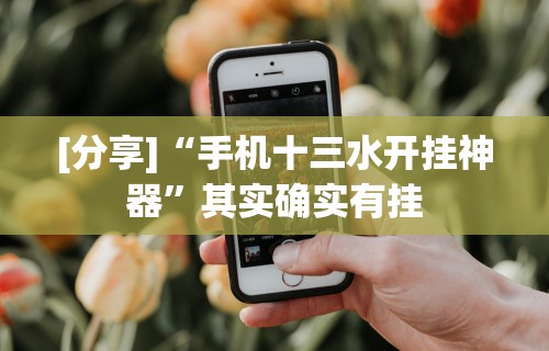 [分享]“手机十三水开挂神器	”其实确实有挂