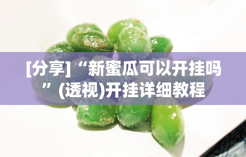 [分享]“新蜜瓜可以开挂吗	”(透视)开挂详细教程