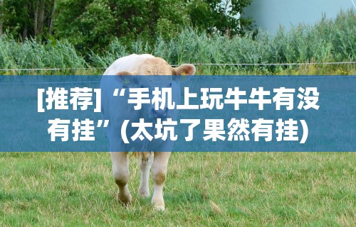 [推荐]“手机上玩牛牛有没有挂	”(太坑了果然有挂)