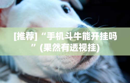 [推荐]“手机斗牛能开挂吗”(果然有透视挂)