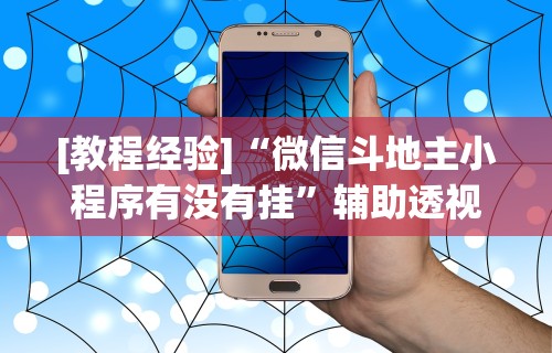 [教程经验]“微信斗地主小程序有没有挂”辅助透视教程