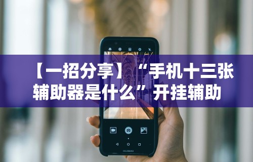 【一招分享】“手机十三张辅助器是什么”开挂辅助详细步骤