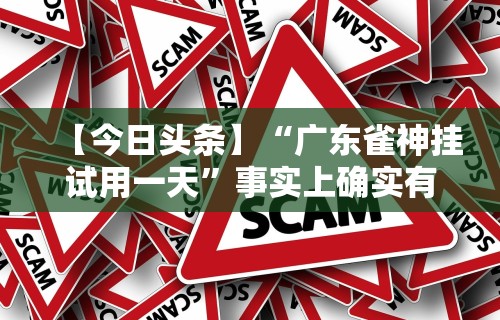 【今日头条】“广东雀神挂试用一天	”事实上确实有挂
