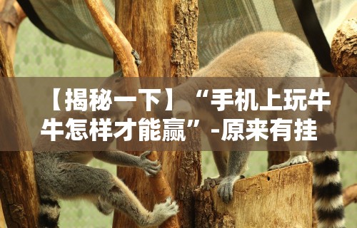【揭秘一下】“手机上玩牛牛怎样才能赢”-原来有挂