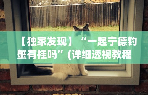 【独家发现】“一起宁德钓蟹有挂吗	”(详细透视教程)