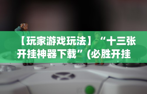 【玩家游戏玩法】“十三张开挂神器下载”(必胜开挂神器)
