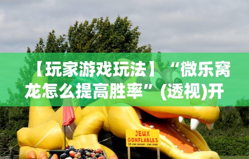 【玩家游戏玩法】“微乐窝龙怎么提高胜率”(透视)开挂详细教程