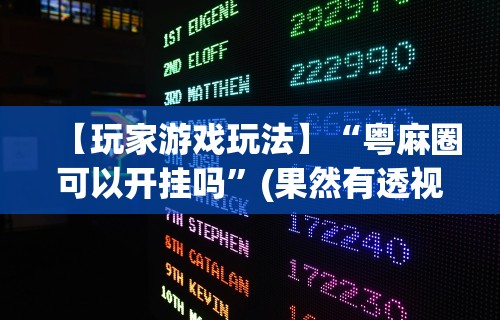 【玩家游戏玩法】“粤麻圈可以开挂吗	”(果然有透视挂)