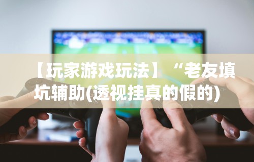 【玩家游戏玩法】“老友填坑辅助(透视挂真的假的)