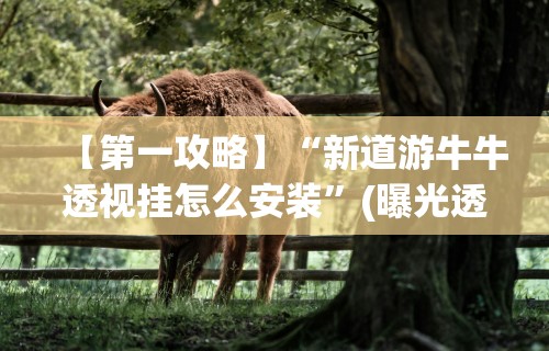 【第一攻略】“新道游牛牛透视挂怎么安装”(曝光透视必备猫腻)