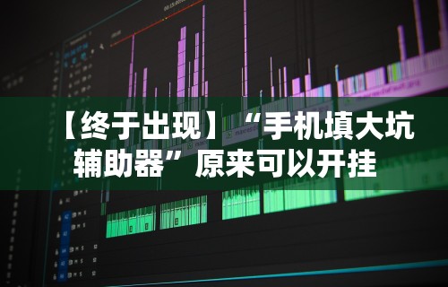 【终于出现】“手机填大坑辅助器”原来可以开挂
