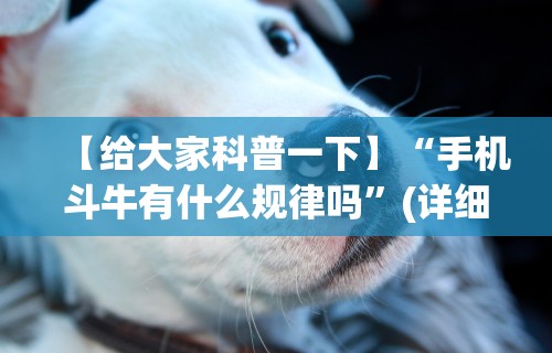 【给大家科普一下】“手机斗牛有什么规律吗”(详细透视教程)-知乎