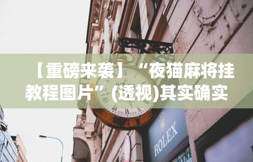【重磅来袭】“夜猫麻将挂教程图片”(透视)其实确实有挂