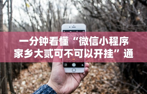 一分钟看懂“微信小程序家乡大贰可不可以开挂”通用版下载教程!