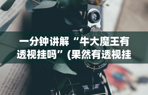 一分钟讲解“牛大魔王有透视挂吗	”(果然有透视挂)