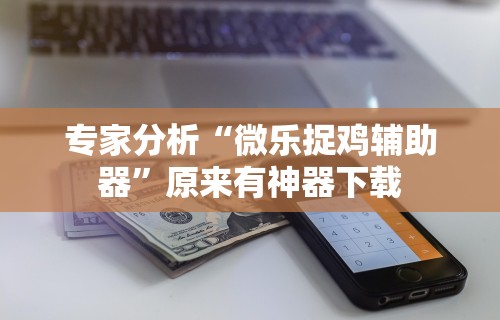 专家分析“微乐捉鸡辅助器”原来有神器下载