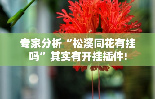 专家分析“松溪同花有挂吗”其实有开挂插件!