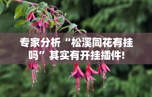 专家分析“松溪同花有挂吗”其实有开挂插件!