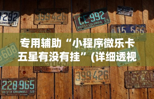 专用辅助“小程序微乐卡五星有没有挂	”(详细透视教程)