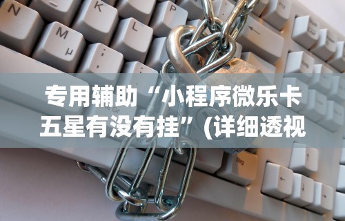 专用辅助“小程序微乐卡五星有没有挂”(详细透视教程)