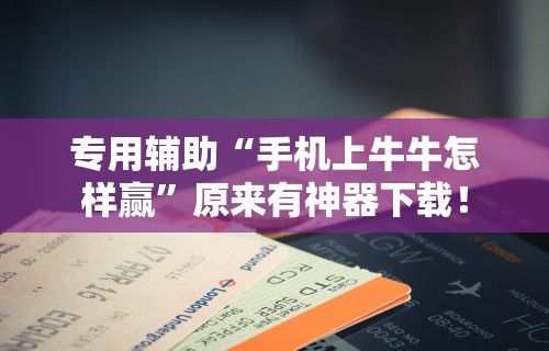 专用辅助“手机上牛牛怎样赢”原来有神器下载！
