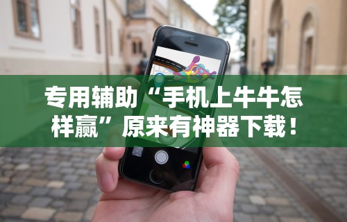 专用辅助“手机上牛牛怎样赢”原来有神器下载！