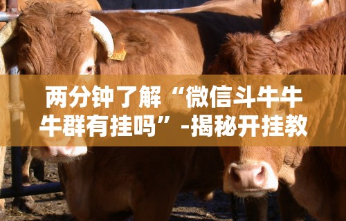 两分钟了解“微信斗牛牛牛群有挂吗”-揭秘开挂教程分享