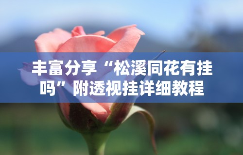 丰富分享“松溪同花有挂吗”附透视挂详细教程