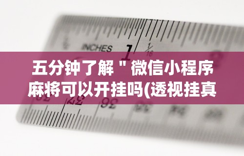 五分钟了解＂微信小程序麻将可以开挂吗(透视挂真的假的)