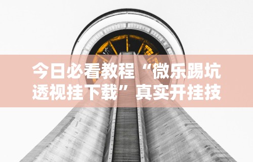 今日必看教程“微乐踢坑透视挂下载”真实开挂技巧分享