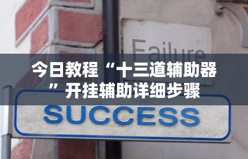 今日教程“十三道辅助器	”开挂辅助详细步骤