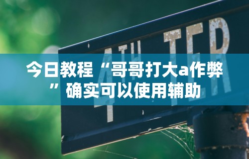 今日教程“哥哥打大a作弊”确实可以使用辅助