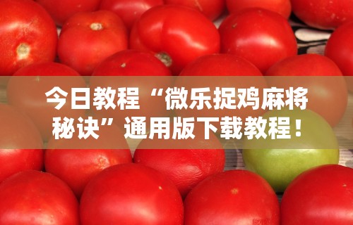 今日教程“微乐捉鸡麻将秘诀”通用版下载教程！