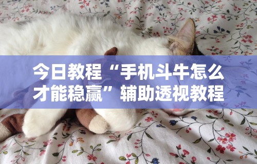 今日教程“手机斗牛怎么才能稳赢”辅助透视教程