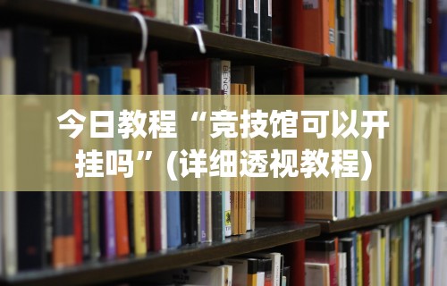 今日教程“竞技馆可以开挂吗”(详细透视教程)