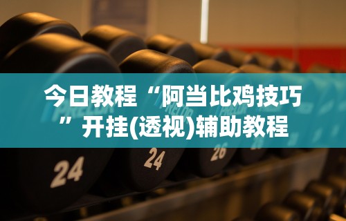 今日教程“阿当比鸡技巧”开挂(透视)辅助教程