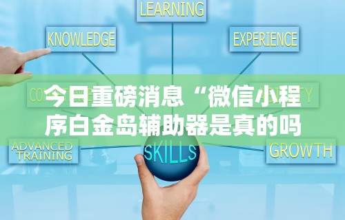 今日重磅消息“微信小程序白金岛辅助器是真的吗	”真实开挂技巧分享