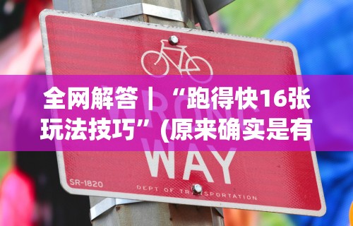 全网解答｜“跑得快16张玩法技巧”(原来确实是有插件)