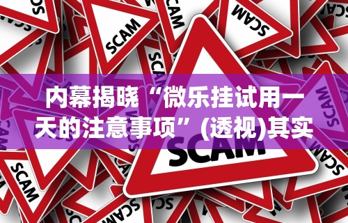 内幕揭晓“微乐挂试用一天的注意事项”(透视)其实确实有挂
