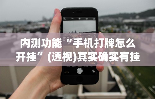 内测功能“手机打牌怎么开挂”(透视)其实确实有挂
