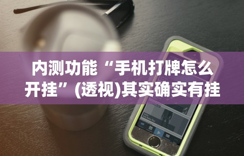 内测功能“手机打牌怎么开挂”(透视)其实确实有挂