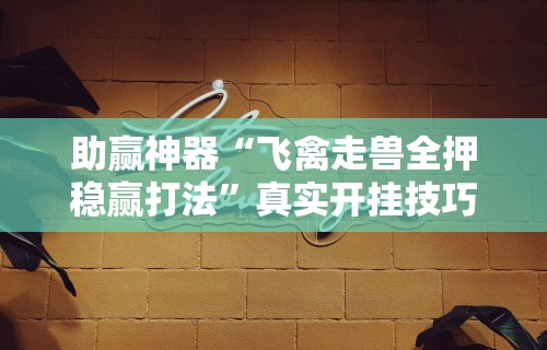 助赢神器“飞禽走兽全押稳赢打法”真实开挂技巧分享