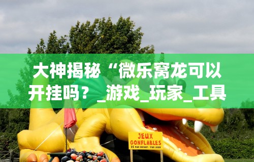 大神揭秘“微乐窝龙可以开挂吗？_游戏_玩家_工具