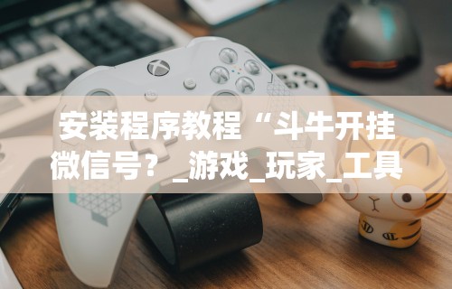 安装程序教程“斗牛开挂微信号？_游戏_玩家_工具