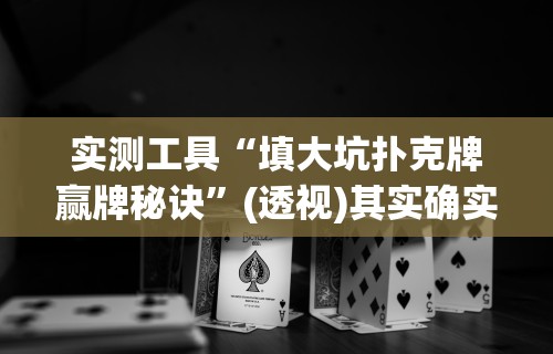 实测工具“填大坑扑克牌赢牌秘诀	”(透视)其实确实有挂