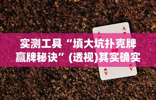 实测工具“填大坑扑克牌赢牌秘诀”(透视)其实确实有挂