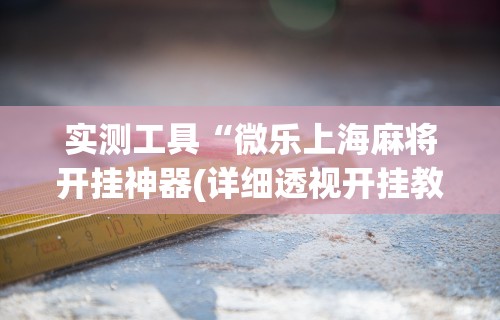 实测工具“微乐上海麻将开挂神器(详细透视开挂教程) 实测工具“微乐上海麻将开挂神器(详细透视开挂教程)